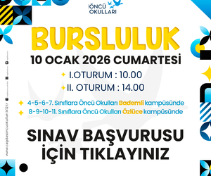 BURSLULUK BAŞVURUSU